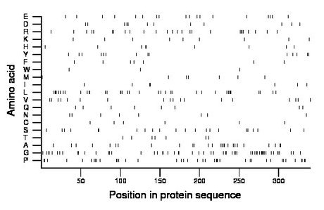 amino acid map