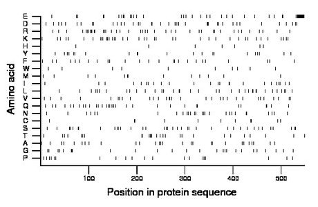 amino acid map