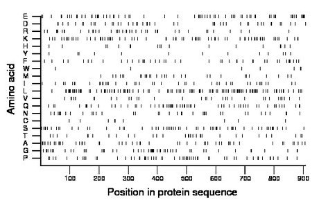 amino acid map