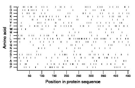 amino acid map