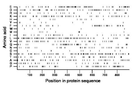 amino acid map