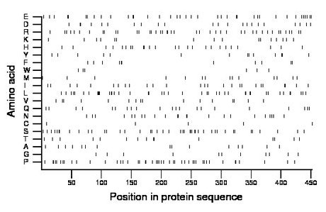 amino acid map