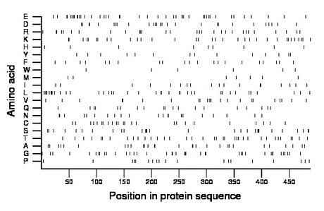 amino acid map