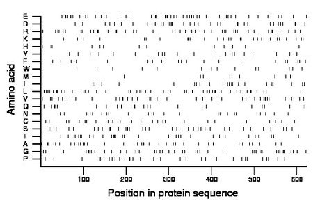 amino acid map