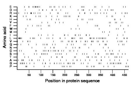 amino acid map