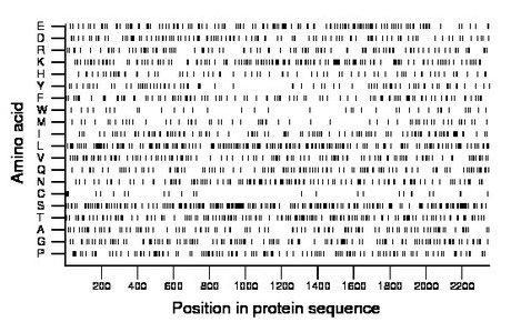 amino acid map