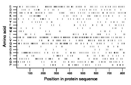 amino acid map