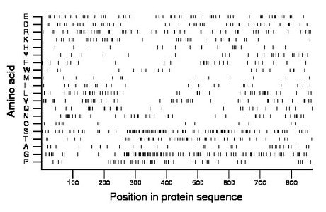 amino acid map