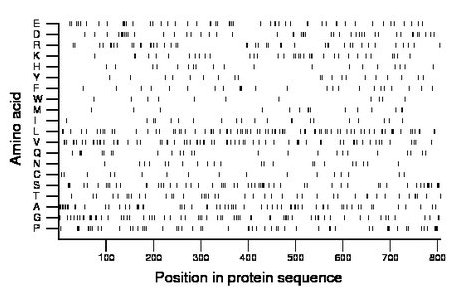 amino acid map