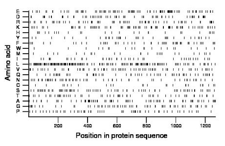 amino acid map