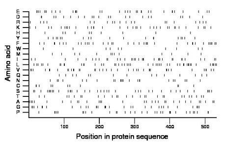 amino acid map