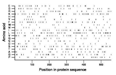 amino acid map