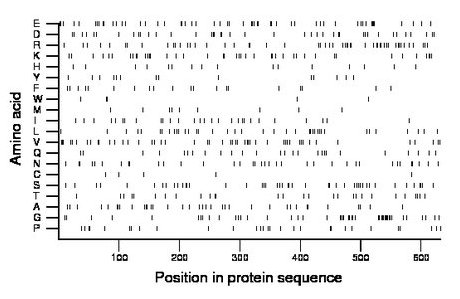 amino acid map