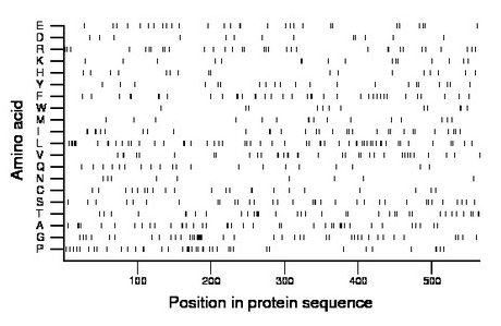 amino acid map