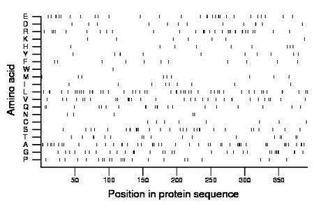 amino acid map