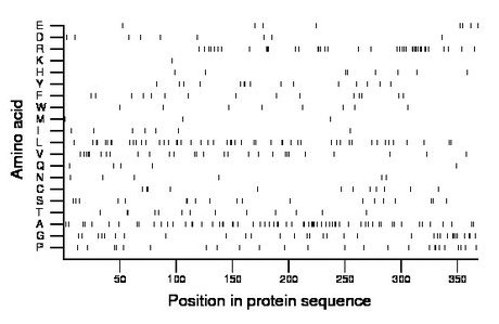 amino acid map