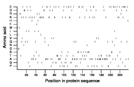 amino acid map