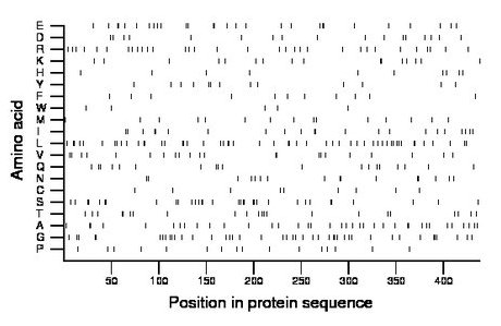 amino acid map