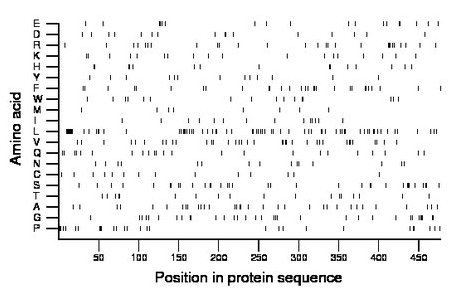 amino acid map