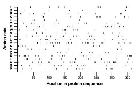 amino acid map