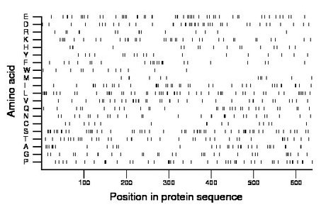 amino acid map