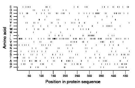 amino acid map