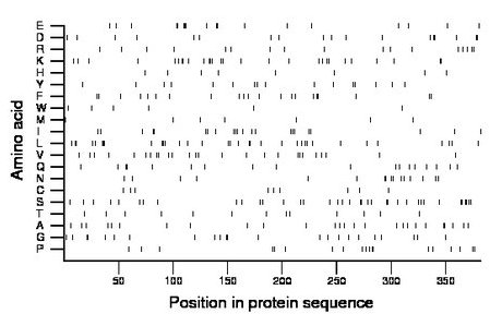 amino acid map