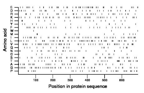 amino acid map