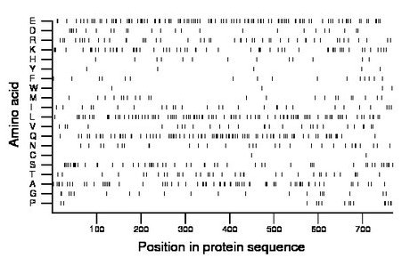 amino acid map