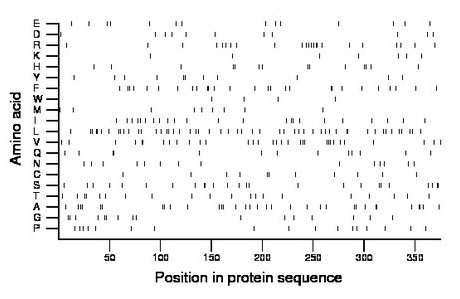 amino acid map