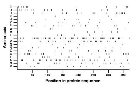 amino acid map