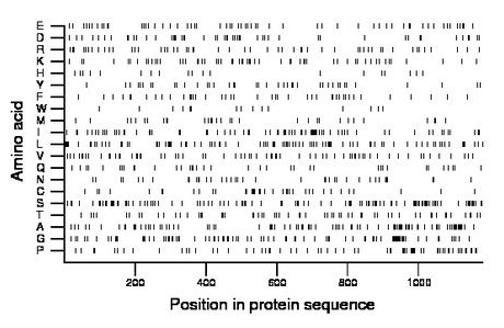 amino acid map