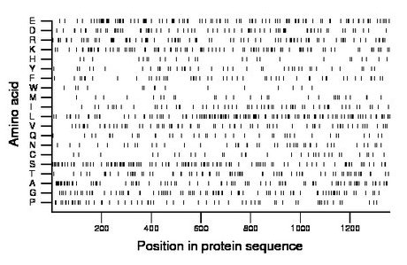 amino acid map