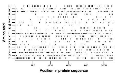 amino acid map