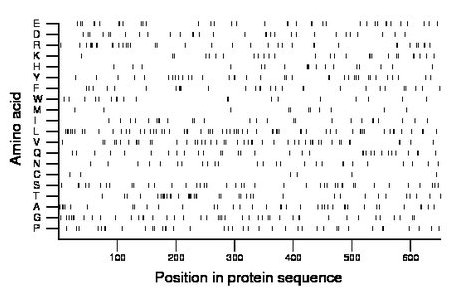 amino acid map