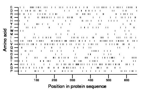 amino acid map