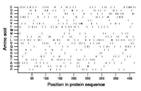 amino acid map