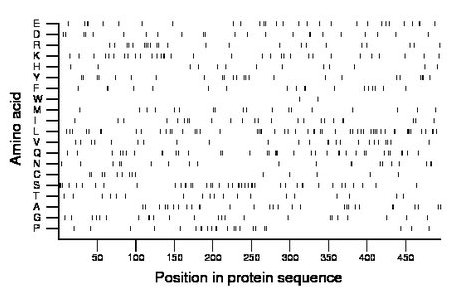 amino acid map