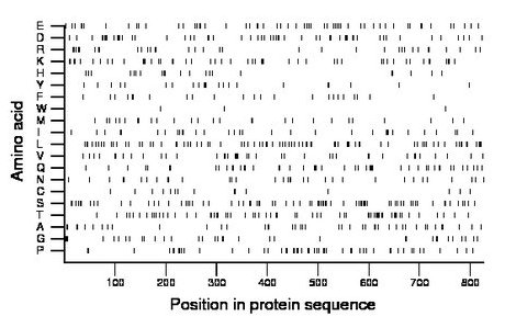 amino acid map