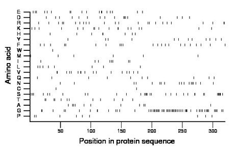 amino acid map