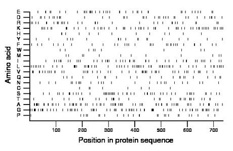 amino acid map