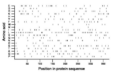 amino acid map