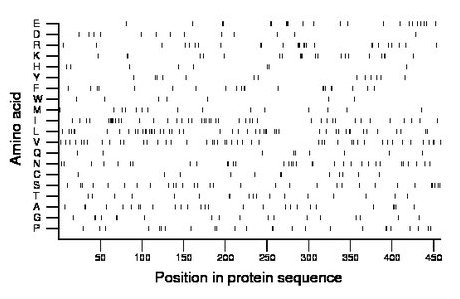 amino acid map