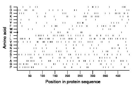 amino acid map