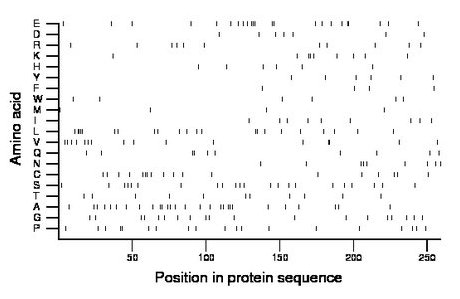 amino acid map