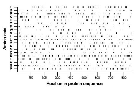 amino acid map