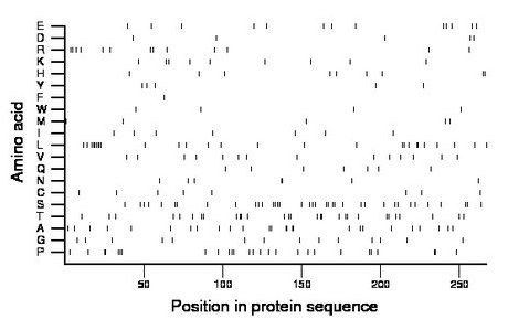 amino acid map