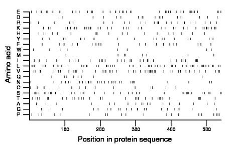 amino acid map