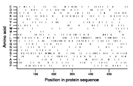 amino acid map