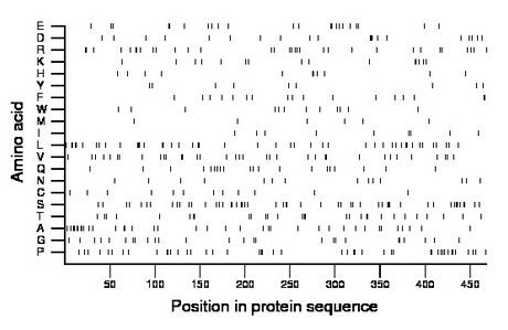 amino acid map